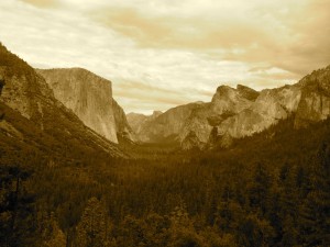 IMG_3275